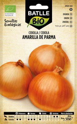 Semilla ecológica de cebolla amarilla de parma, cebola