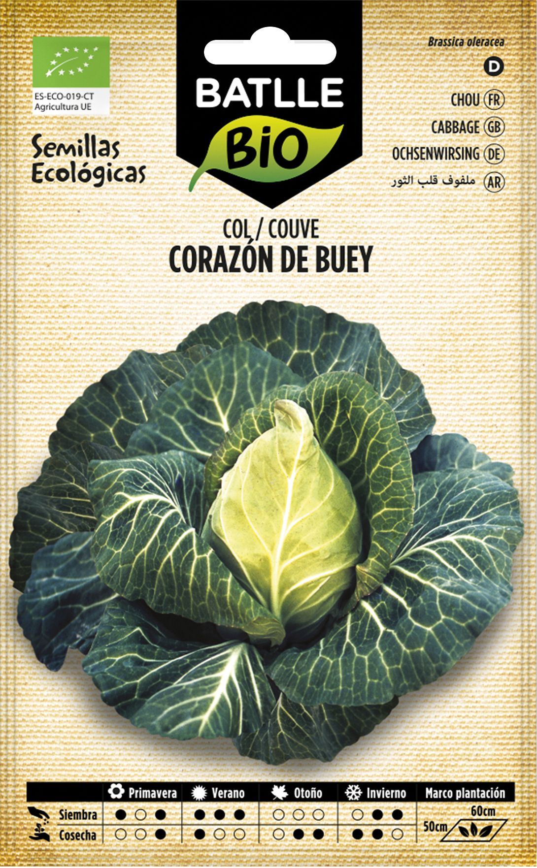Semilla ecológica de col corazón de buey