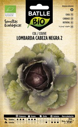 Semilla ecológica de col lombarda cabeza negra 2, couve