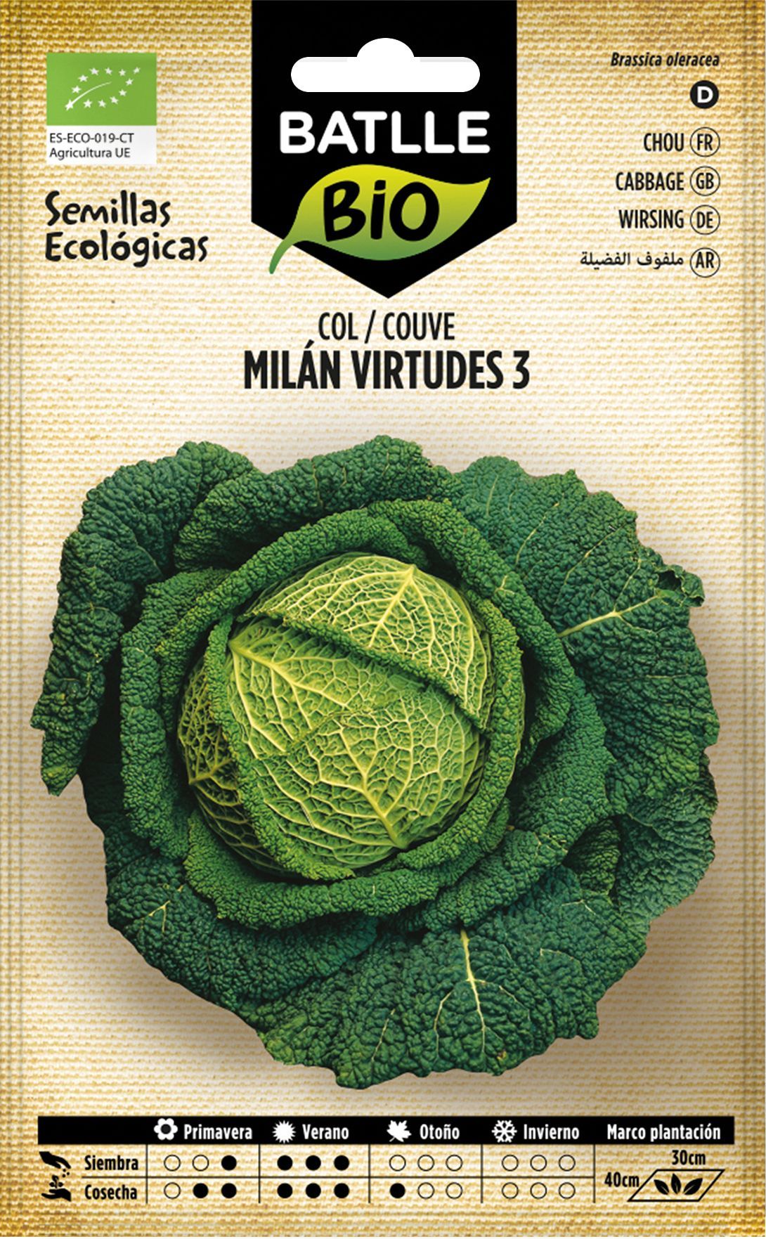 Semilla ecológica de col milan virtudes 3