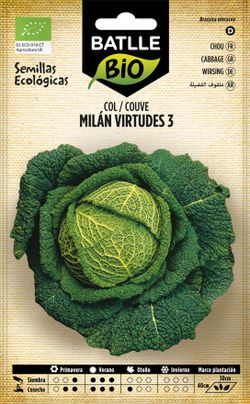 Semilla ecológica de col milan virtudes 3