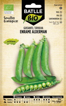 Semilla ecológica de guisante alderman