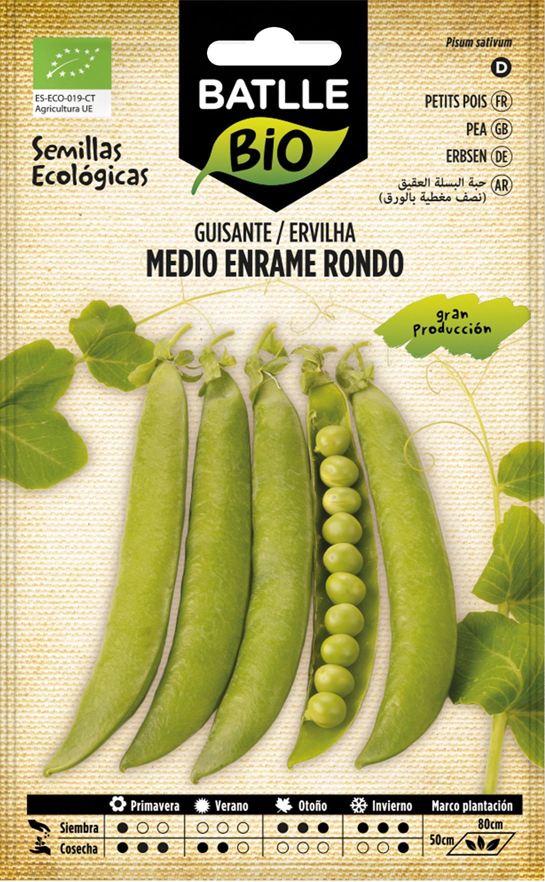 Semilla ecológica de guisante medio enrame rondo, ervilha