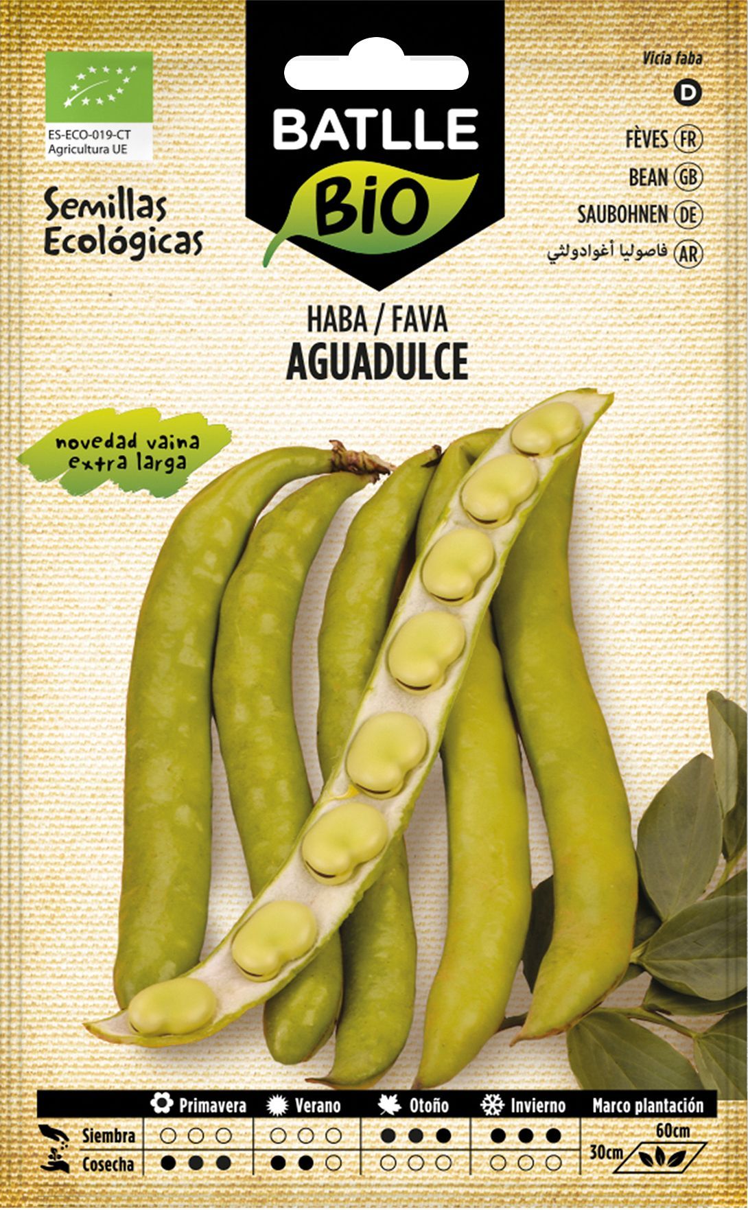 Semilla ecológica de haba superaguadulce, fava
