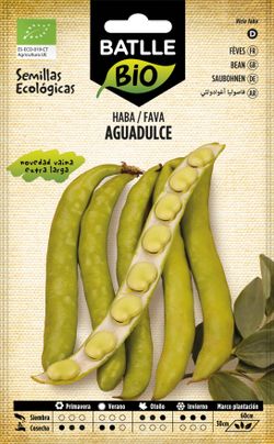 Semilla ecológica de haba superaguadulce, fava