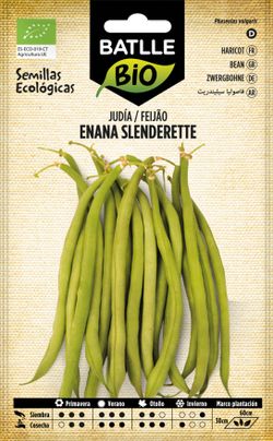 Semilla ecológica de judía enana slenderette