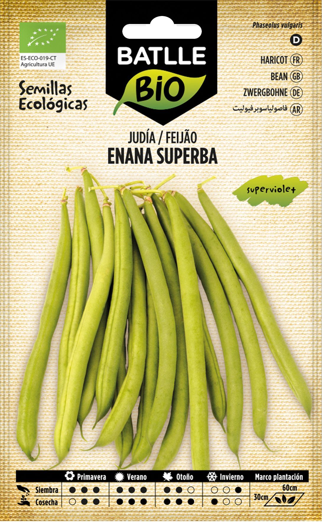 Semilla ecológica de judía enana superba