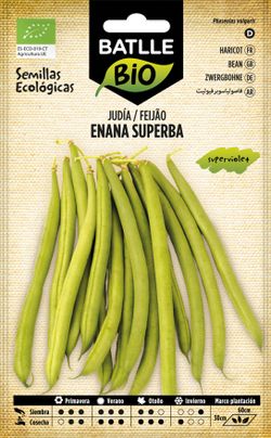 Semilla ecológica de judía enana superba