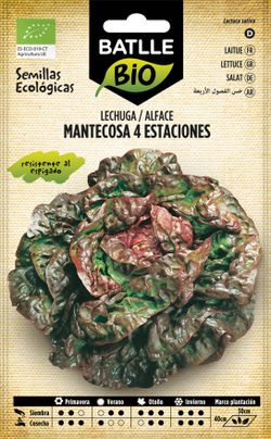 Semilla ecológica de lechuga cuatro estaciones, alface