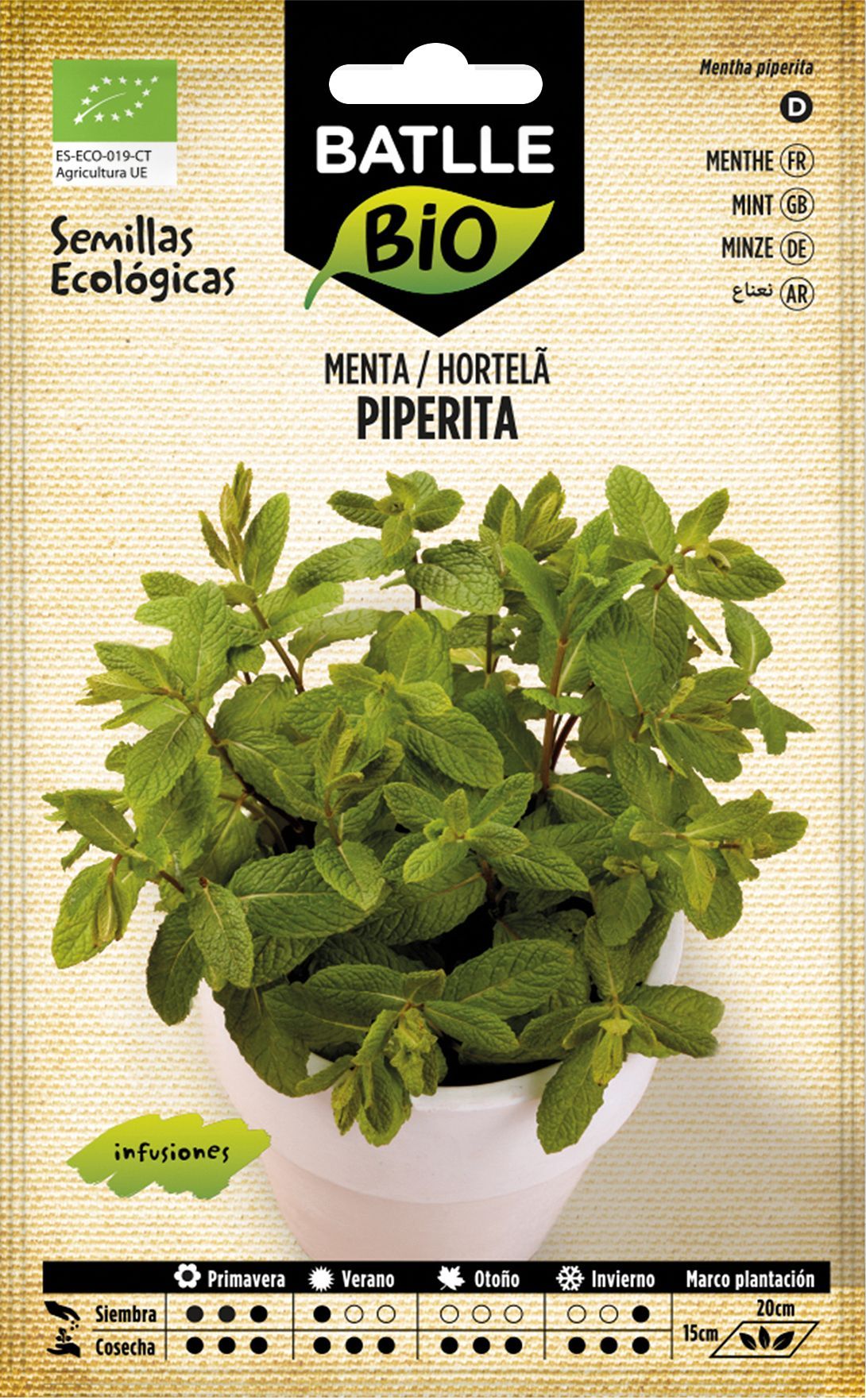 Semilla ecológica de menta piperita