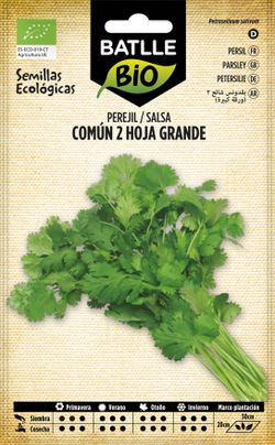 Semilla ecológica de perejil común 2 hoja grande