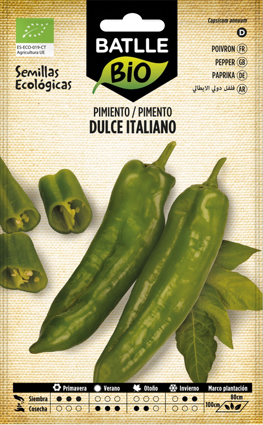 Semilla ecológica de pimiento dulce italiano