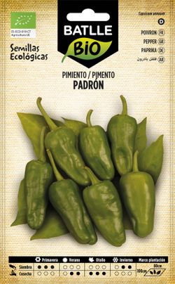 Semilla ecológica de pimiento para freir de padrón