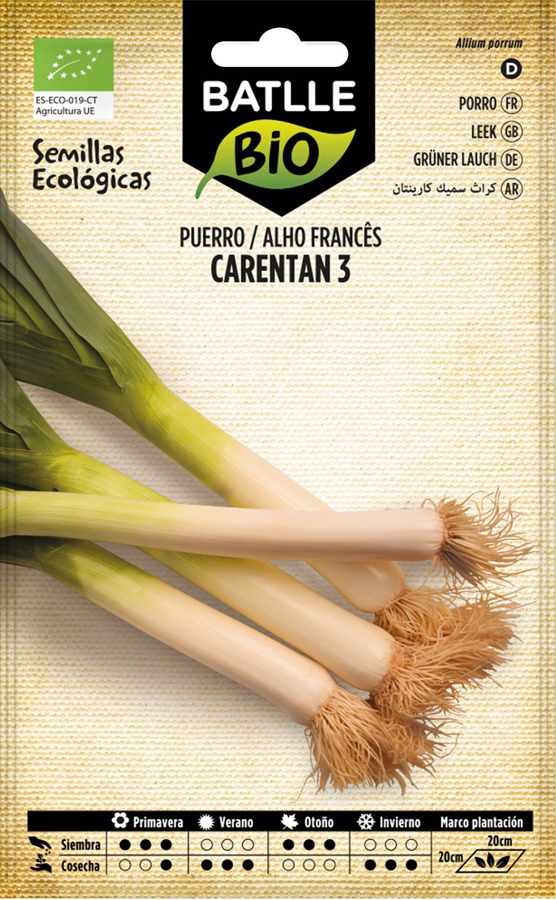 Semilla ecológica de puerro grueso carentan 3, alho porro