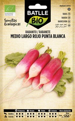 Semilla ecológica de rabanito medio largo rojo punta blanca