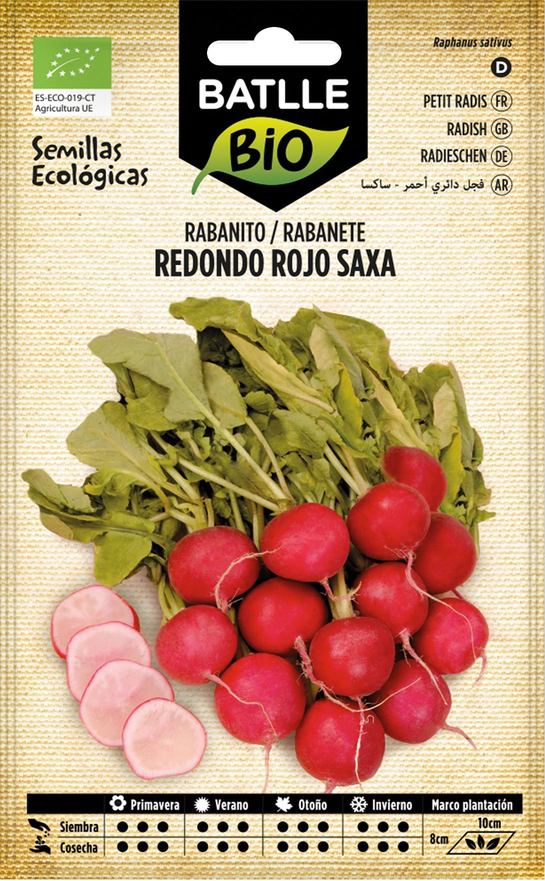 Semilla ecológica de rabanito redondo rojo saxa, rabanete