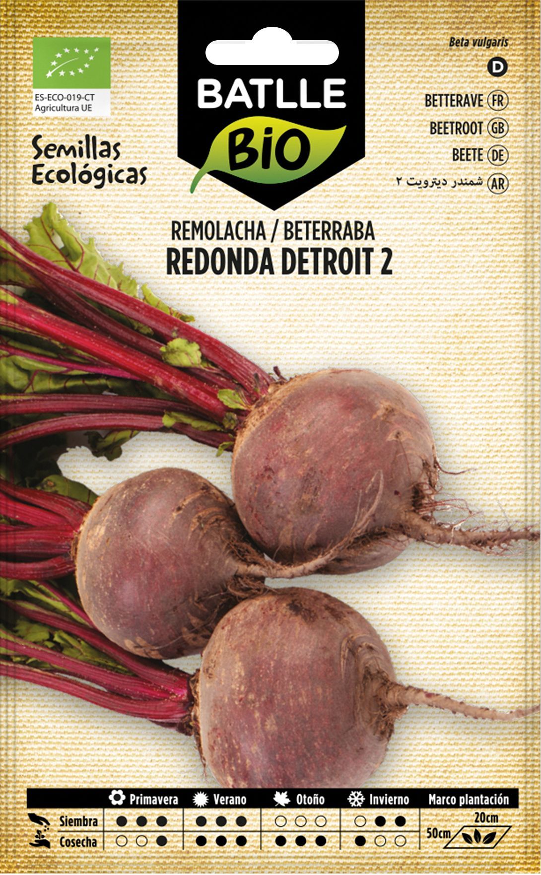 Semilla ecológica de remolacha detroit 2, beterraba