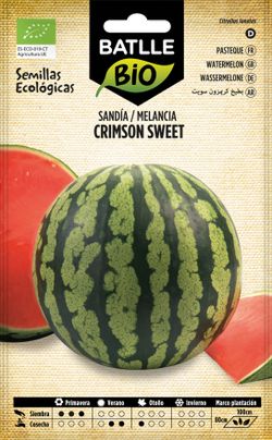 Semilla ecológica de sandía crimson sweet, melancia