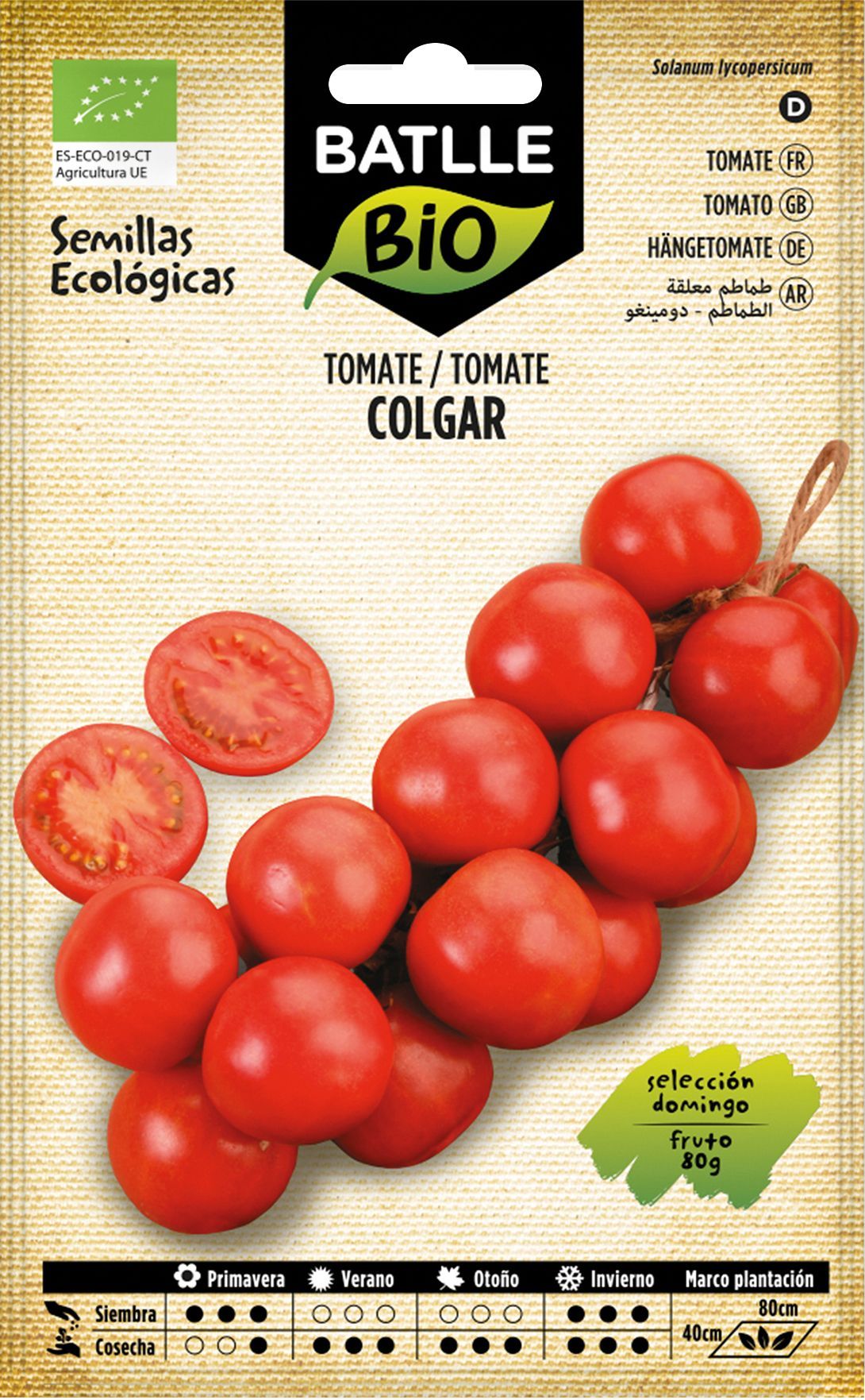 Semilla ecológica de tomate de colgar domingo