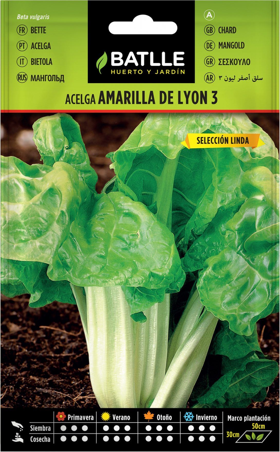 Semilla hortícola de acelga amarilla de lyon 3 seleccion Linda penca ancha
