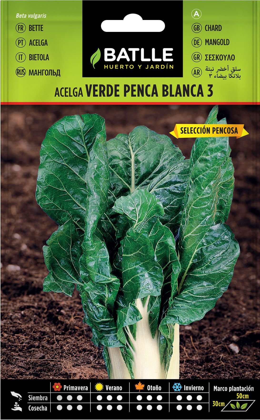 Semilla hortícola de acelga verde de penca blanca 3 selección Pencosa