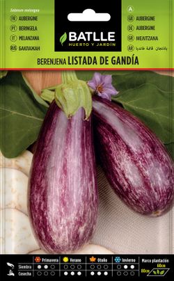 Semilla hortícola de berenjena listada de gandia, beringela, solanum melongena
