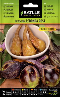 Semilla hortícola de berenjena redonda rosa sel. encurtir