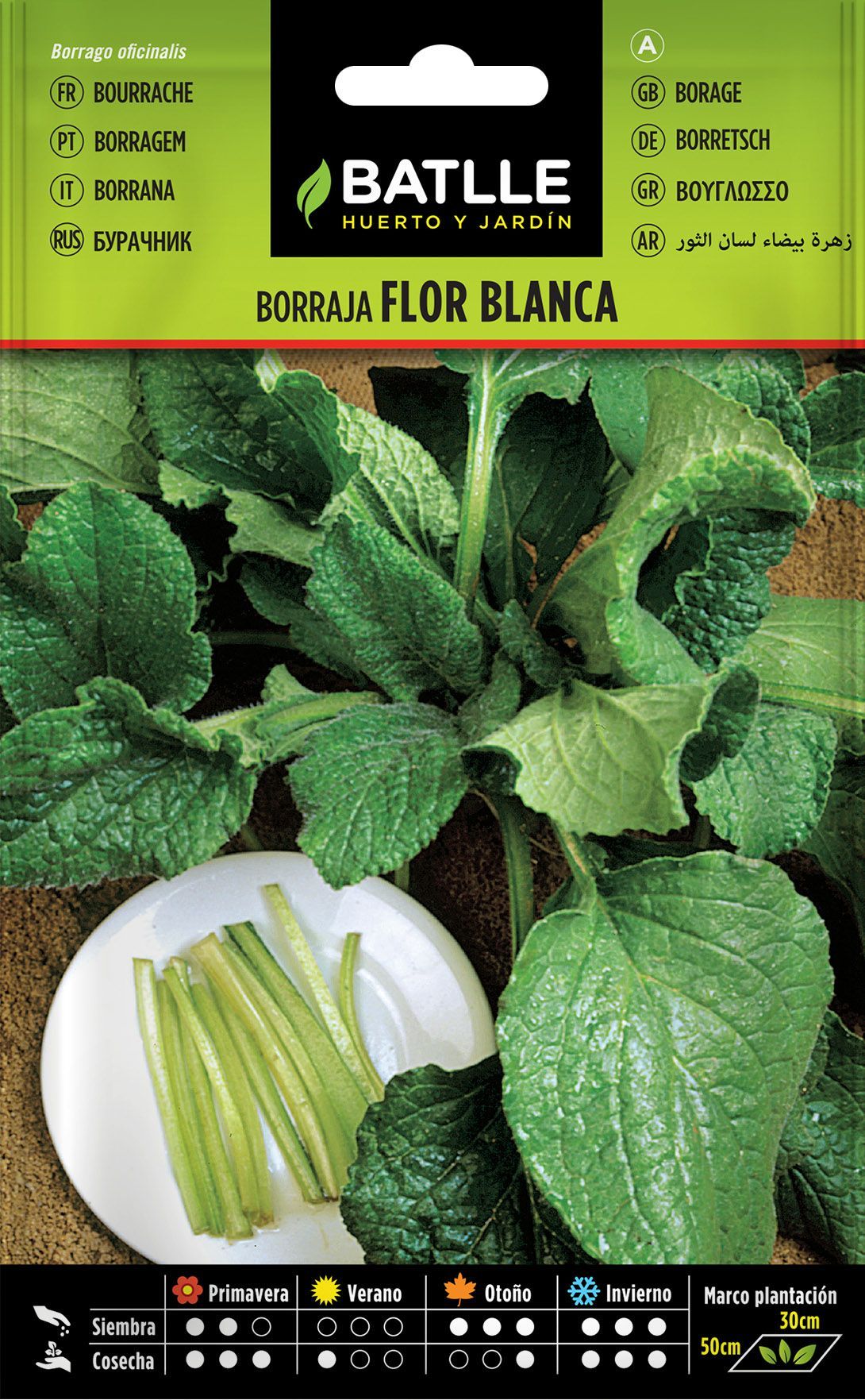 Semilla hortícola de borraja flor blanca