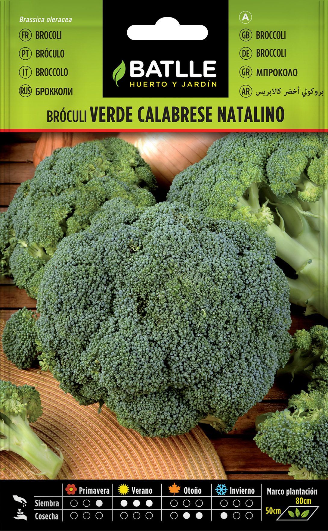 Semilla hortícola de broculi verde calabrese, couve broculo, brassica oleracea italica