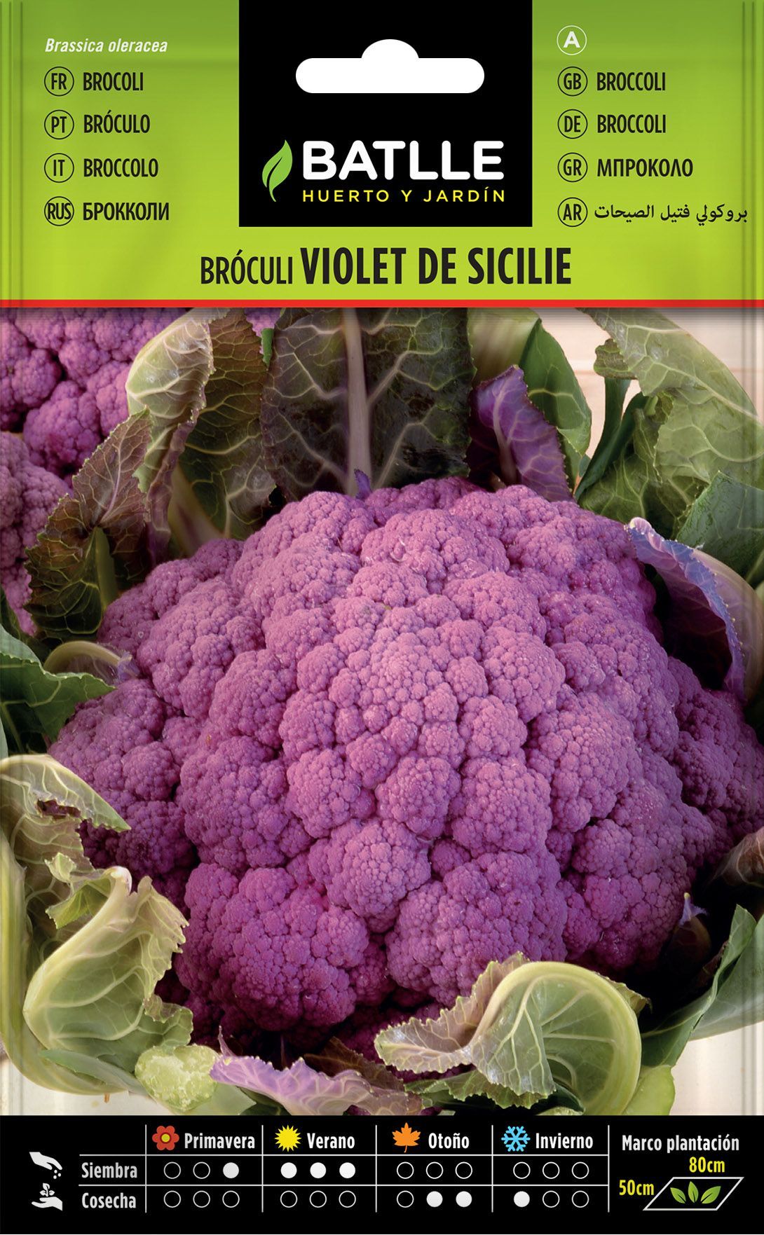 Semilla hortícola de broculi Violeta de Sicile