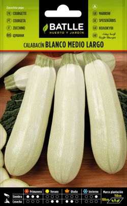 Semilla hortícola de calabacín blanco medio largo, courgeta, cucurbita pepo