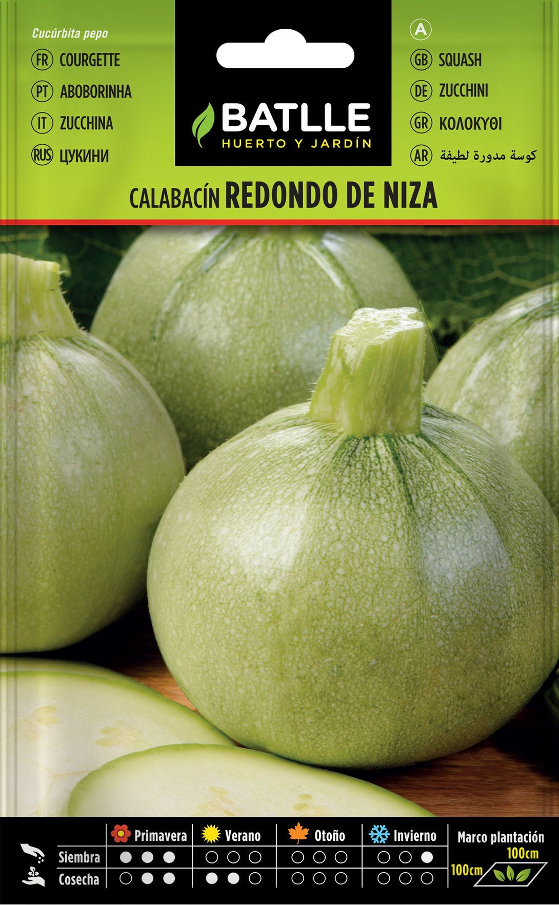 Semilla hortícola de calabacín redondo de niza, courgeta, cucurbita pepo