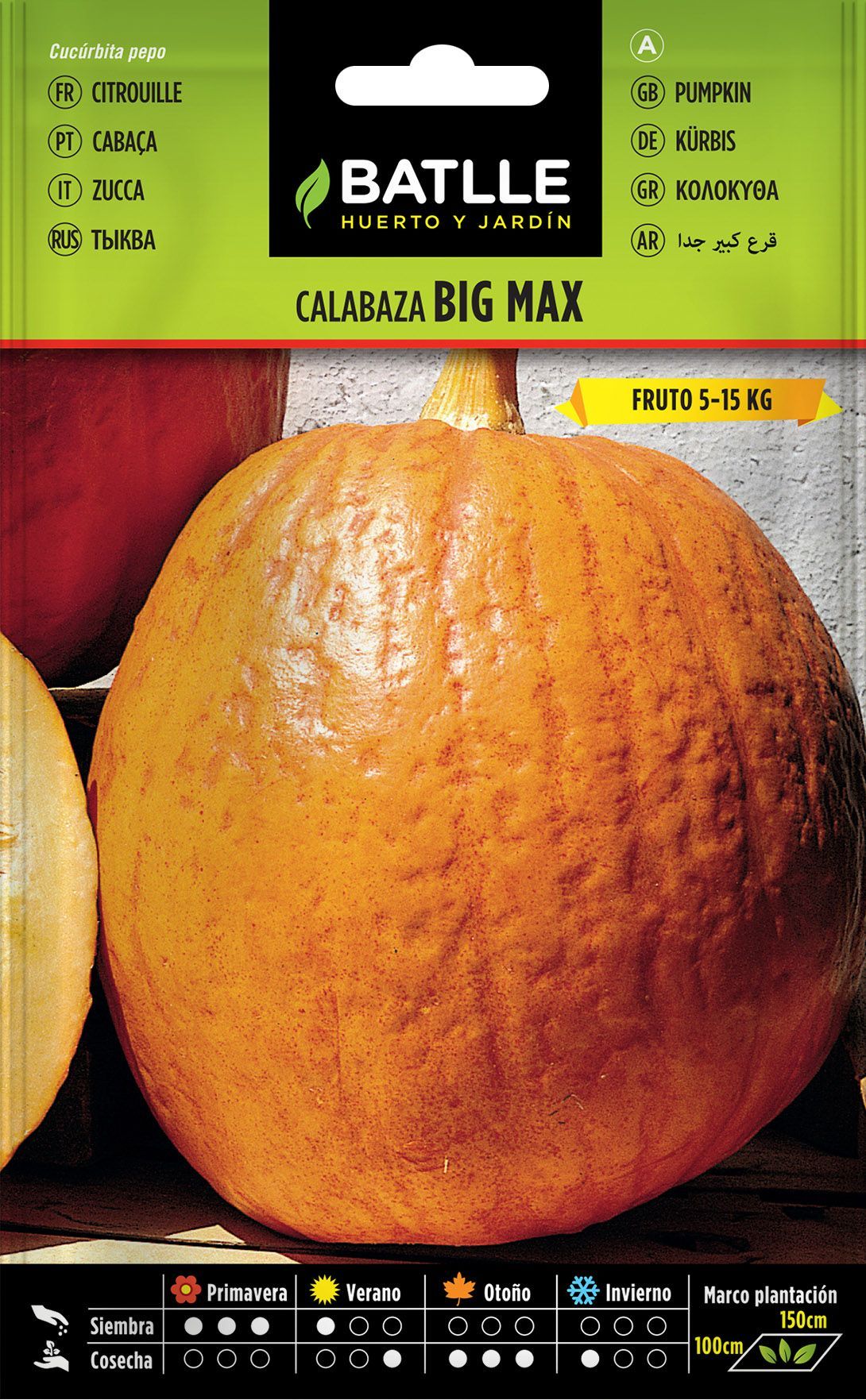 Semilla hortícola de calabaza big max