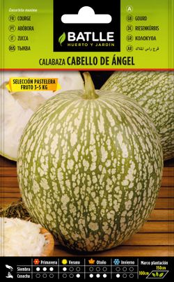 Semilla hortícola de calabaza cabello de angel selección pastelera