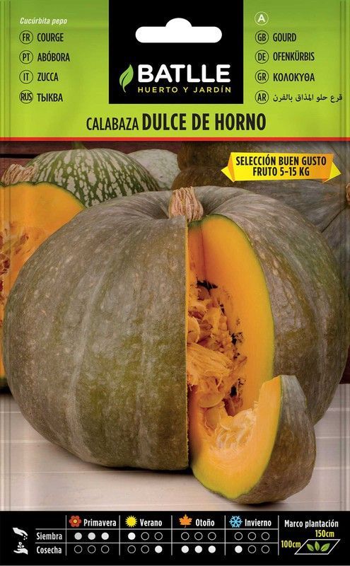 Semilla hortícola de calabaza dulce de horno buen gusto, abobora, cucurbita