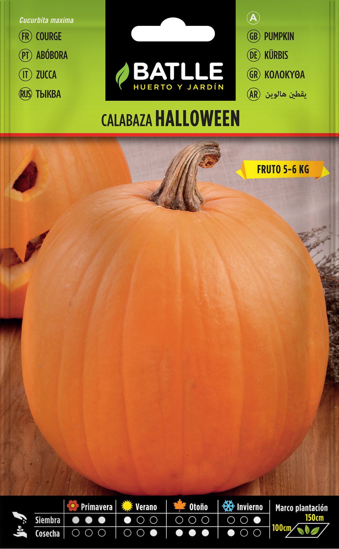 Semilla hortícola de calabaza halloween