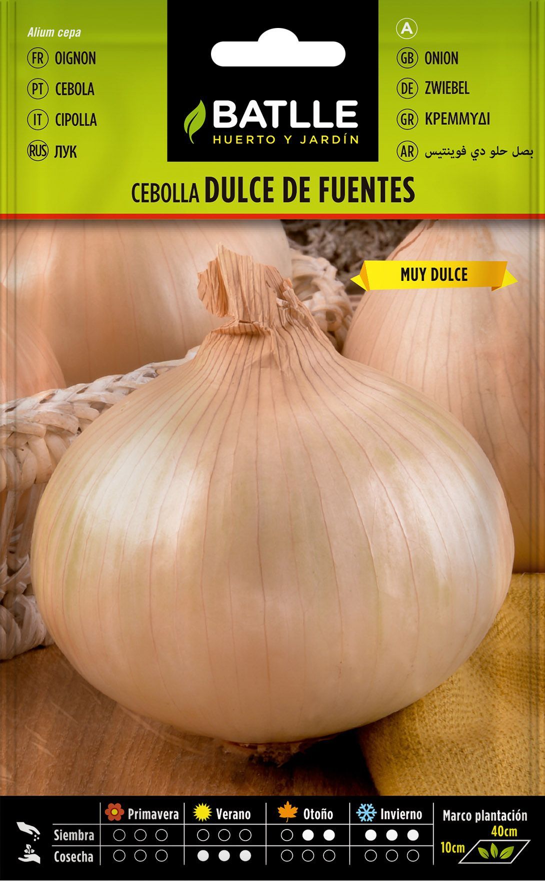 Semilla hortícola de cebolla dulce de fuentes, cebola, allium cepa
