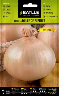 Semilla hortícola de cebolla dulce de fuentes, cebola, allium cepa
