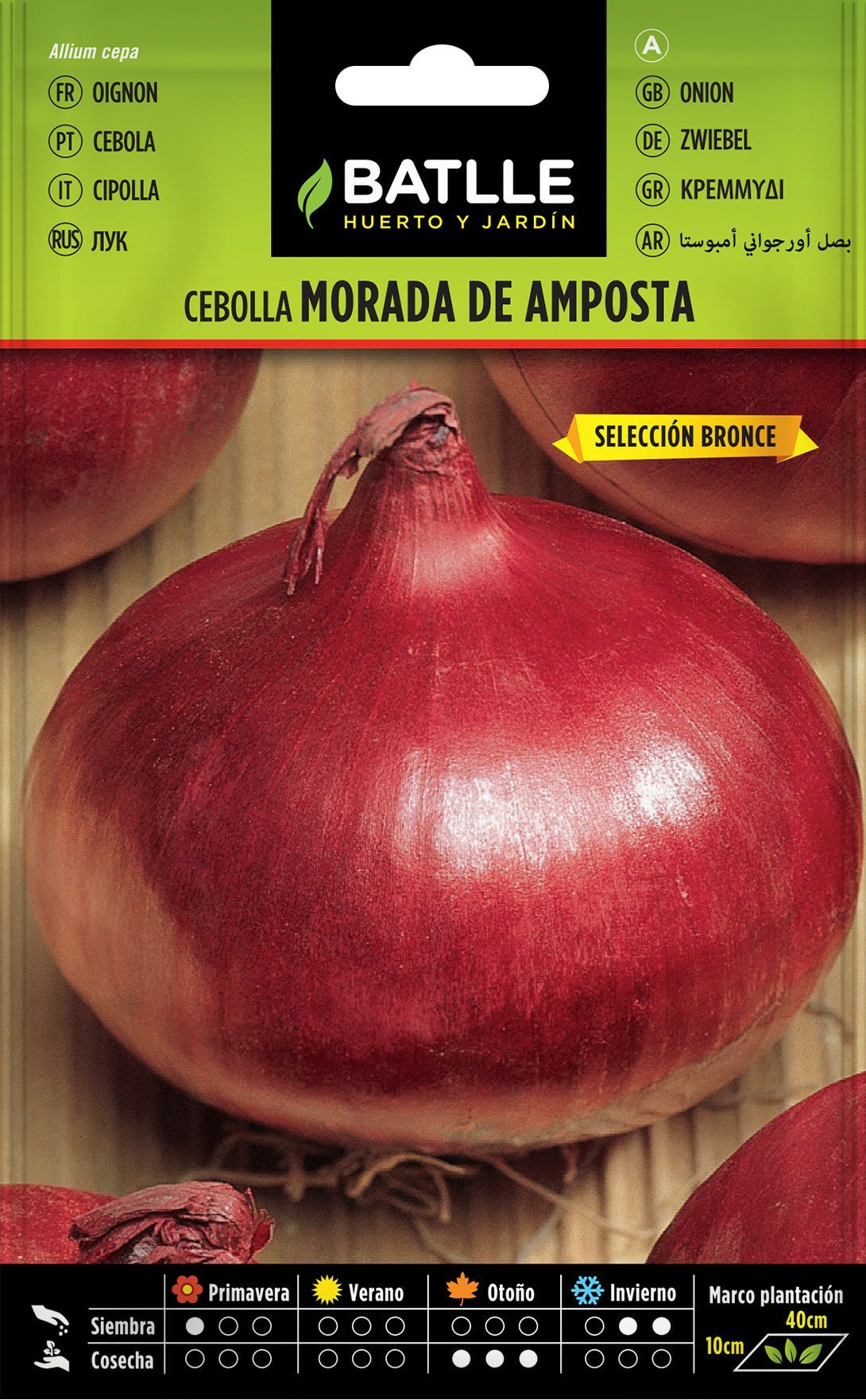 Semilla hortícola de cebolla morada de amposta sel. bronce, cebola roxa, allium cepa