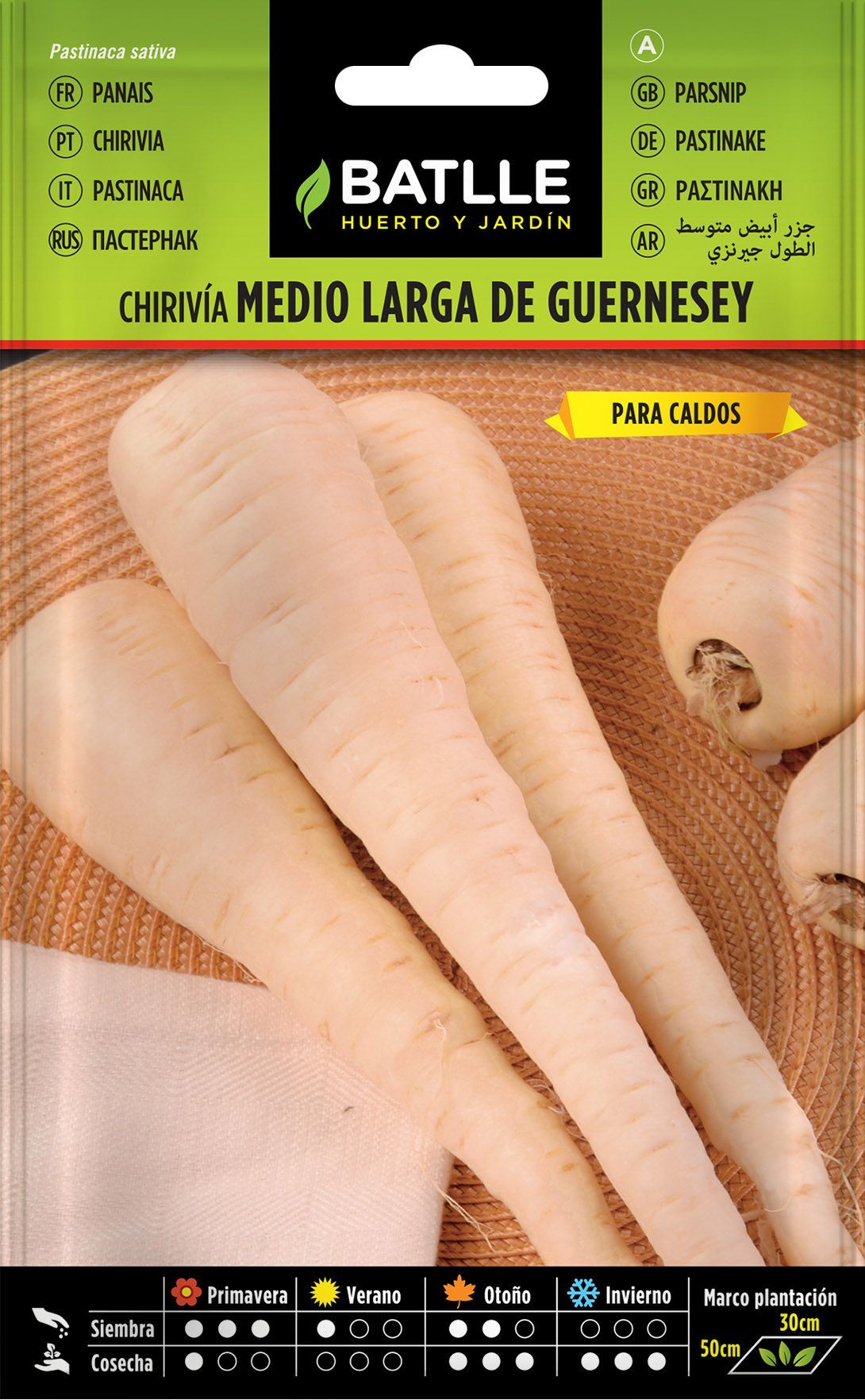 Semilla hortícola de chirivia medio larga de guerensey, pastinaca sativum