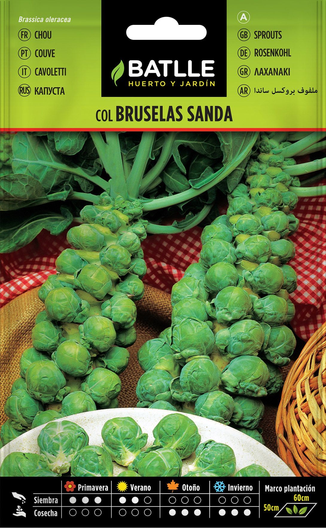 Semilla hortícola de col bruselas sanda