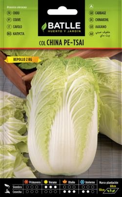 Semilla hortícola de col china pet-sai, couve da china, brassica oleracea.