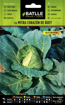 Semilla hortícola de col repollo corazon de buey sel. mitra