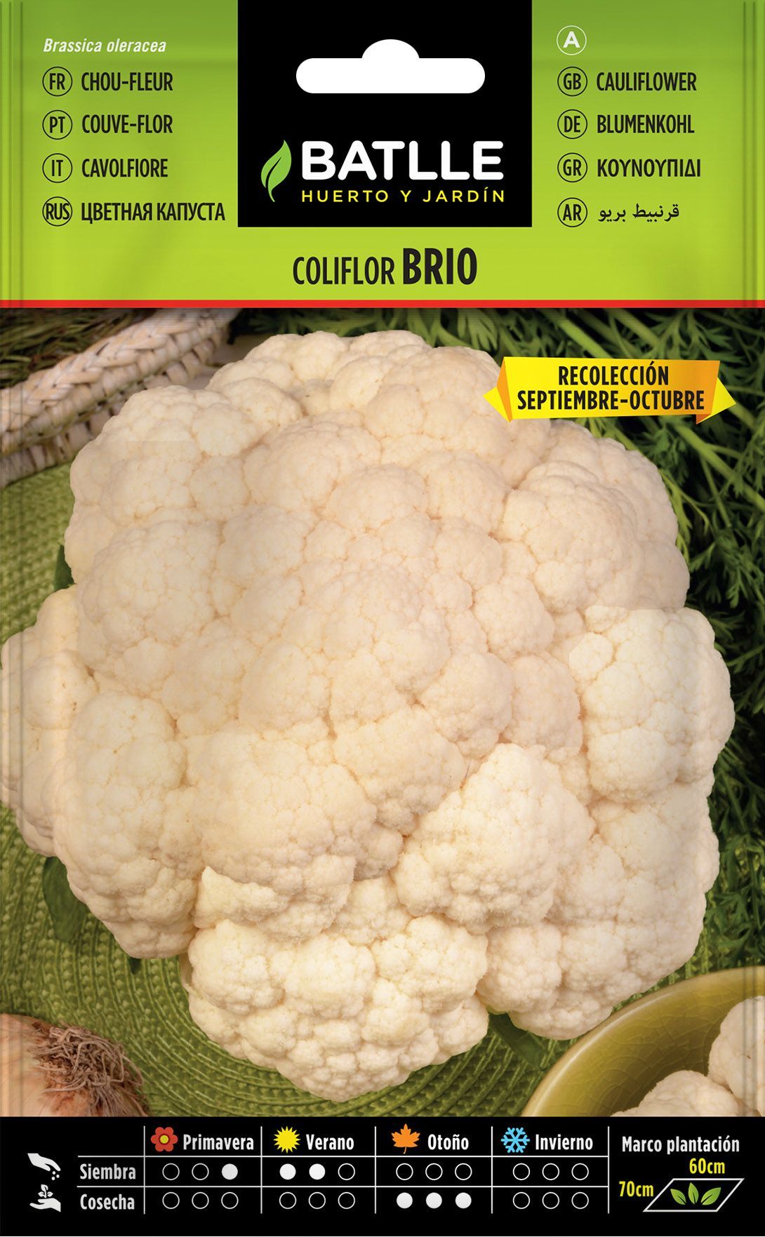 Semilla hortícola de coliflor brio