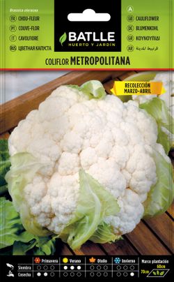 Semilla hortícola de coliflor metropolitana