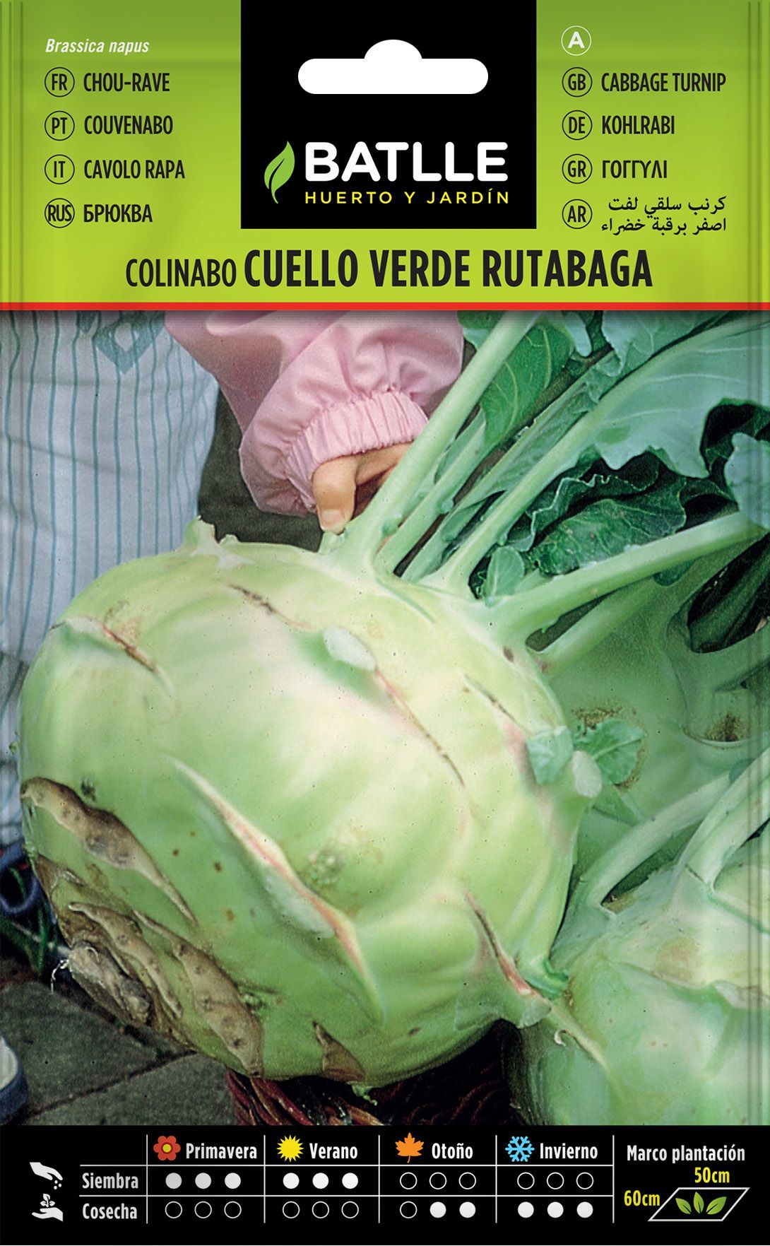 Semilla hortícola de colinabo rutabaga cuello verde, couve nabo
