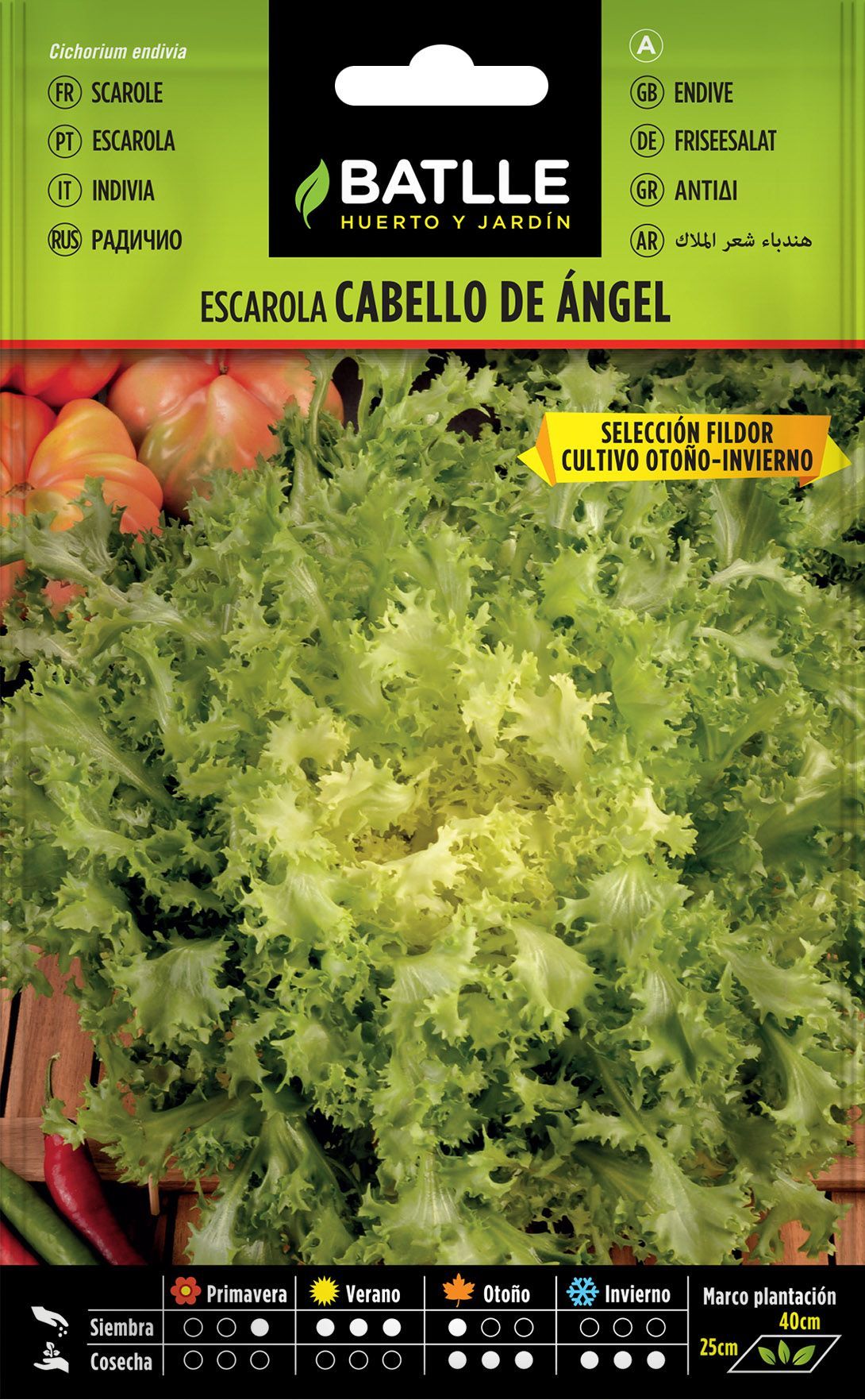 Semilla hortícola de escarola cabello de angel sel. fildor, chicoria frizada