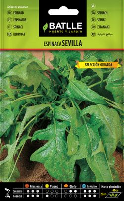 Semilla hortícola de espinaca Sevilla Sel. Giralda
