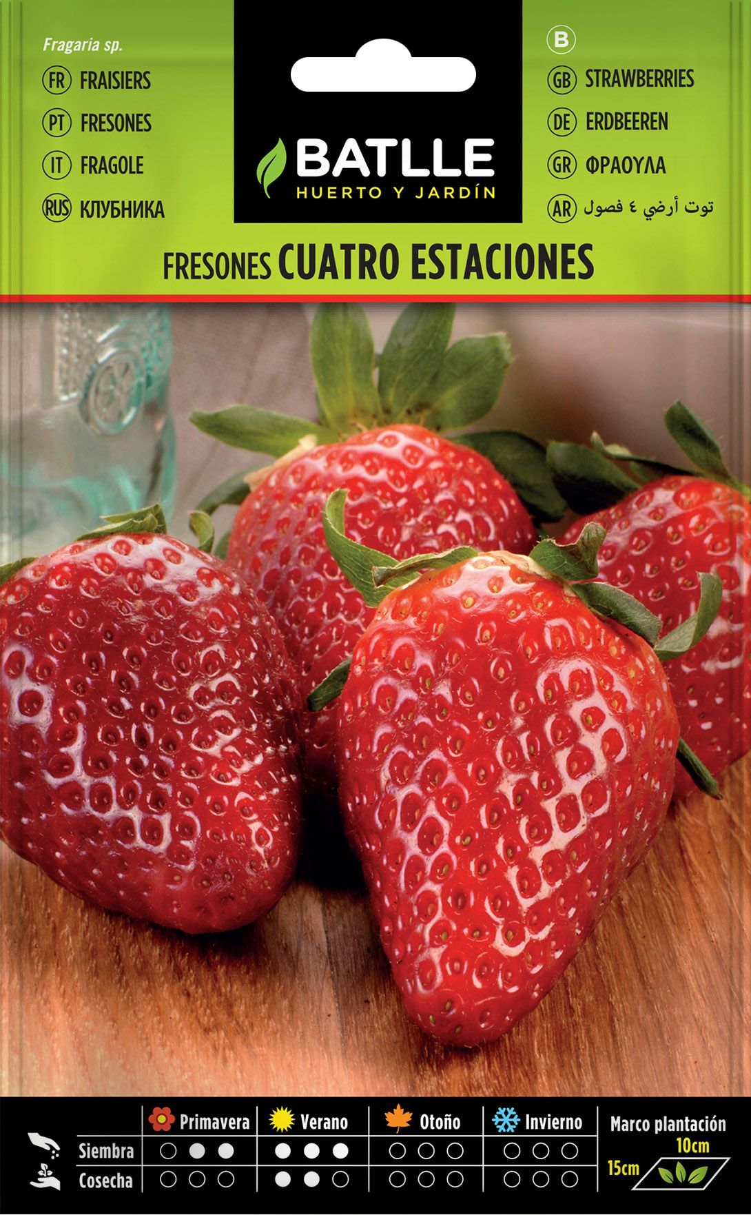 Semilla hortícola de fresones cuatro estaciones, morango común do jardim