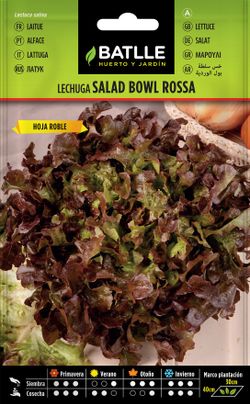 Semilla hortícola de lechuga bowl roja y rosa